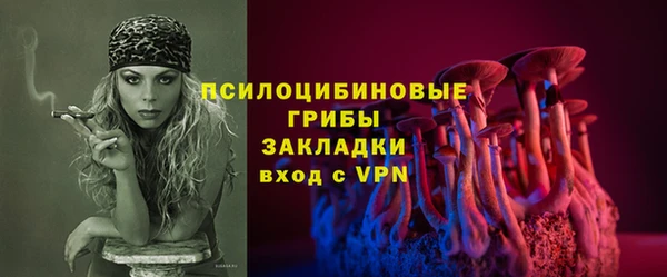 эйфоретик Балахна