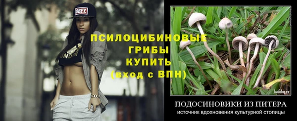 стаф Баксан